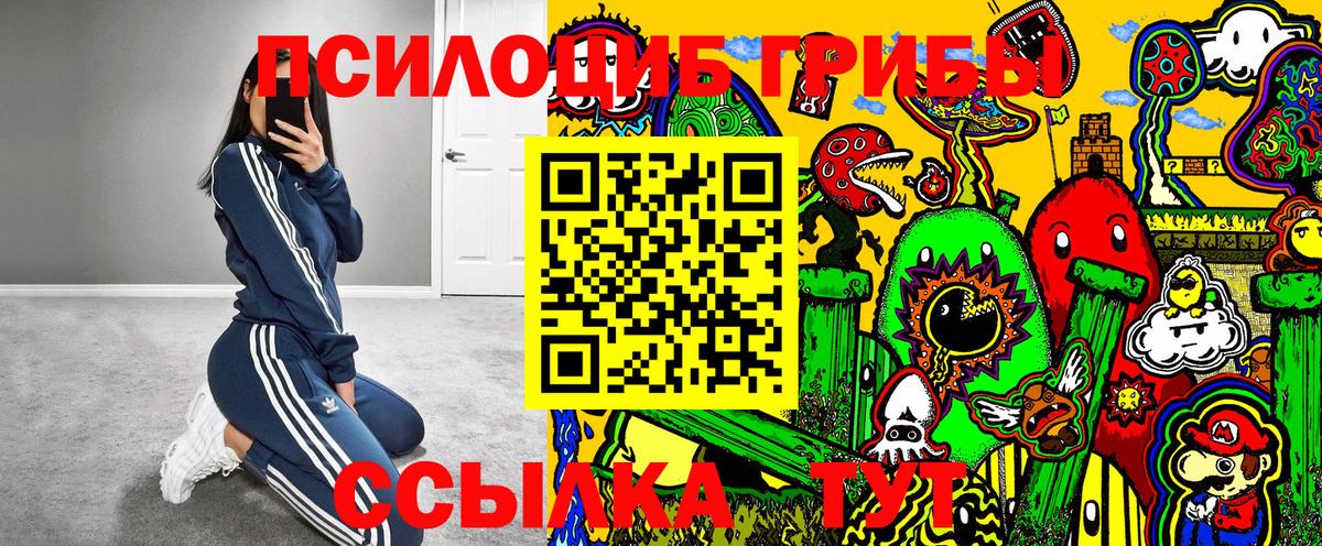 Торжок  Псилоцибиновые грибы Cubensis  Вход с VPN 