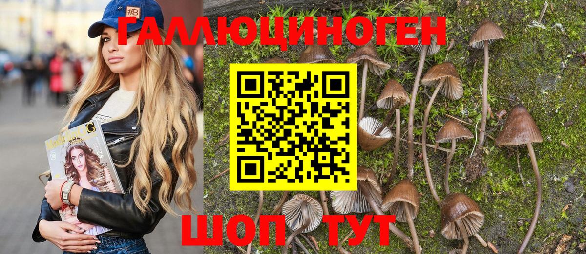 даркнет сайт  Галлюциногенные грибы MAGIC MUSHROOMS  Торжок  Псилоцибиновые грибы Magic Shrooms 